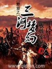 野望之三河夢幻