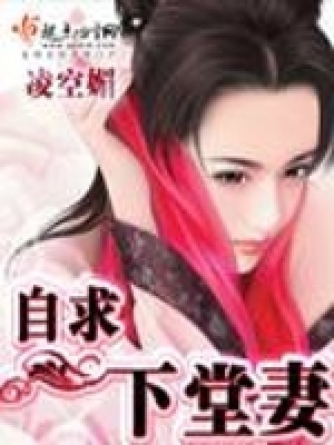 自求下堂妻