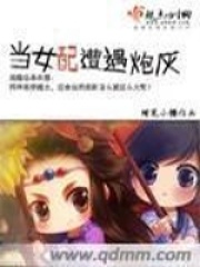 當女配遭遇炮灰