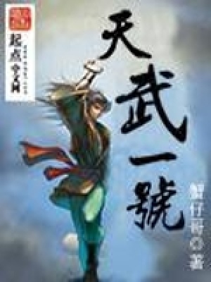天武一號(hào)