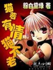 貓若有情貓不老