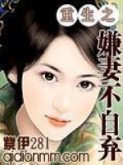 重生之嫌妻不自棄