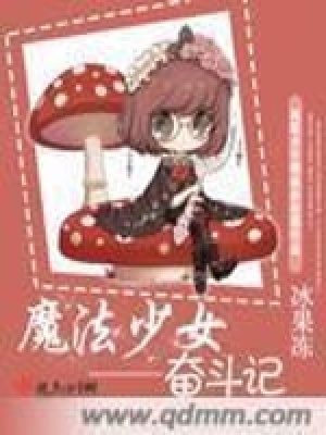 魔法少女奮斗記