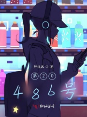 第20486號