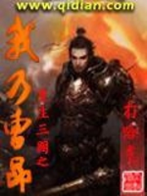 重生三國之我乃曹昂