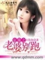 總裁之老婆別跑