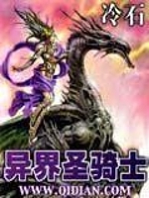 異界圣騎士