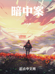 暗中案
