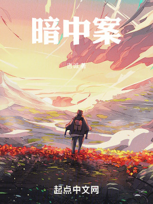 暗中案