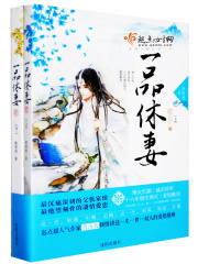 一品休妻