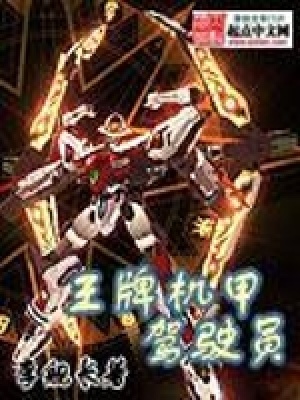 王牌機甲駕駛員