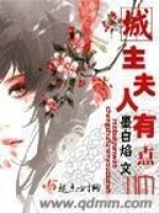 城主夫人有點(diǎn)帥