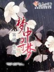 夢(mèng)中尋夢(mèng)