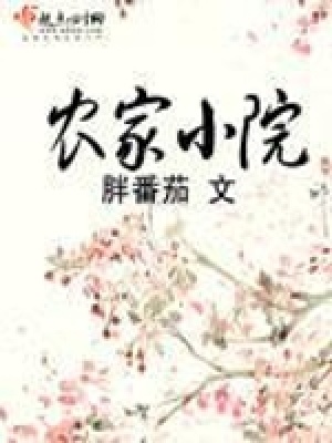 農家小院