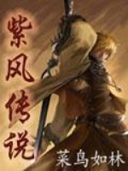 網游之紫風傳說