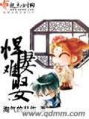 悍妻難娶
