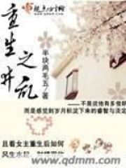 重生之井亂