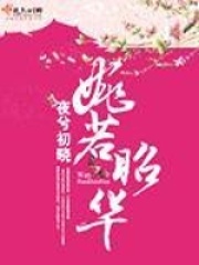 婉若昭華
