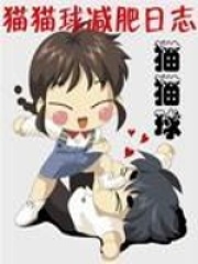 貓貓球減肥日志