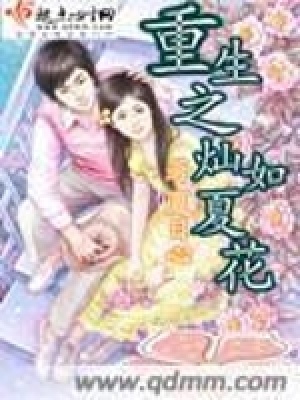 重生之燦如夏花