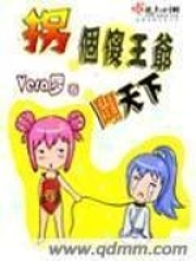 拐個(gè)傻王爺闖天下