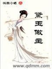 黛玉做主