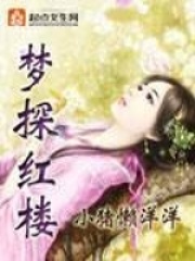 夢探紅樓
