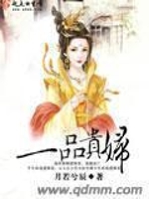 一品貴婦
