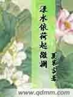 淥水依荷起微瀾