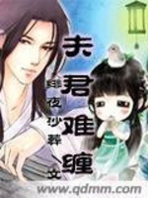 夫君難纏
