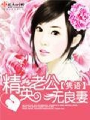 精英老公無(wú)良妻