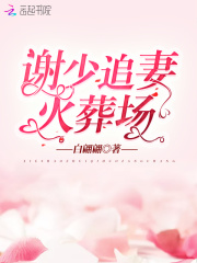 謝少追妻火葬場