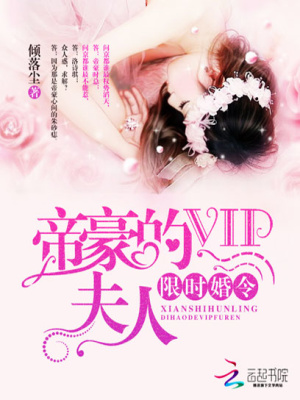 帝豪的VIP夫人