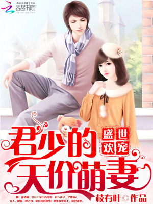 盛世歡寵：君少的天價萌妻