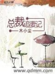 總裁追妻記