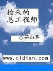 撿來的總工程師