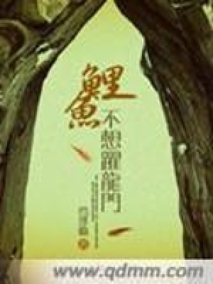 鯉魚不想躍龍門