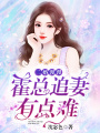 二婚漫漫：霍總追妻有點(diǎn)難