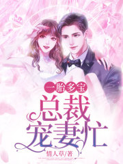 一胎多寶：總裁寵妻忙
