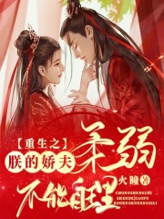 重生之朕的嬌夫柔弱不能自理
