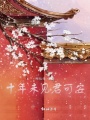 十年未見君可安