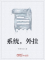 系統(tǒng)，外掛