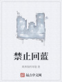 禁止回藍