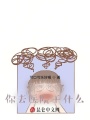 女神懷孕，你去醫(yī)院干什么