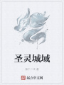 圣靈城域