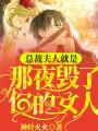 總裁，夫人就是那夜毀了你的女人