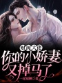 財閥大佬：你的小嬌妻又掉馬了