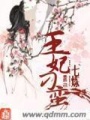 王妃刁蠻