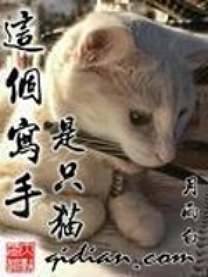 這個寫手是只貓