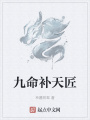 九命補(bǔ)天匠